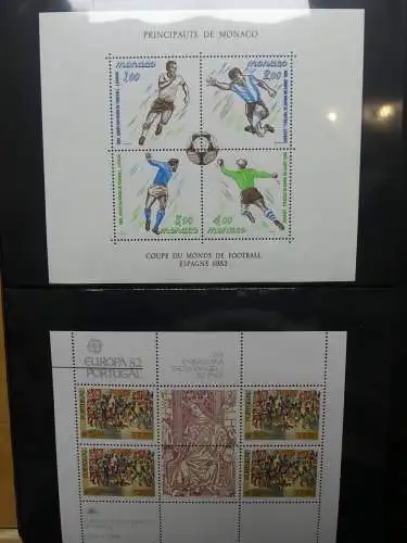 Europa Allgemein Blocklager postfrisch im Binder #LZ702