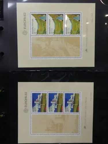 Europa Allgemein Blocklager postfrisch im Binder #LZ702