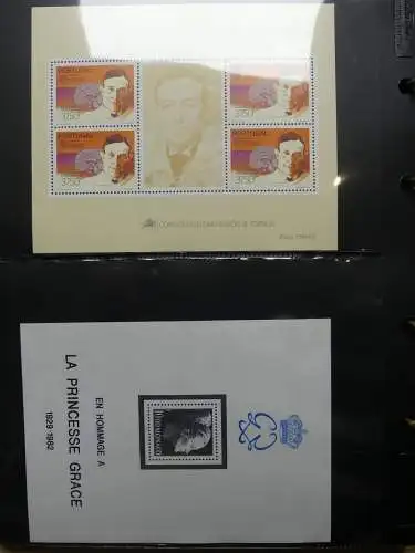 Europa Allgemein Blocklager postfrisch im Binder #LZ702