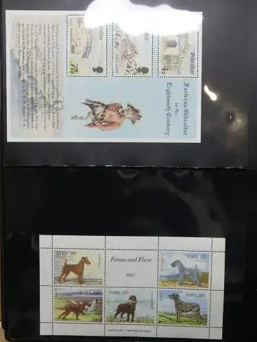 Europa Allgemein Blocklager postfrisch im Binder #LZ702