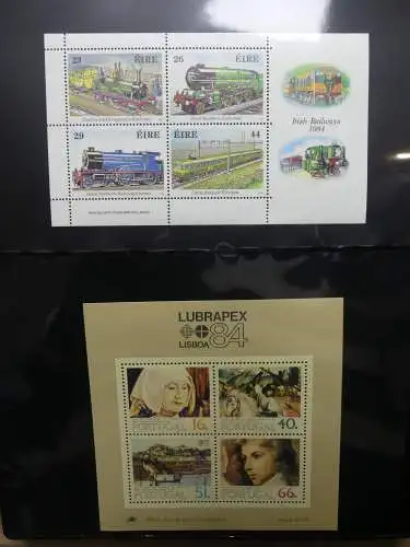 Europa Allgemein Blocklager postfrisch im Binder #LZ702