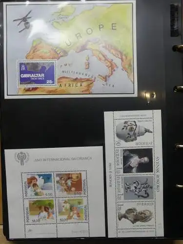 Europa Allgemein Blocklager postfrisch im Binder #LZ702