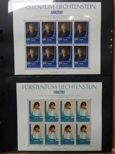 Europa Allgemein Blocklager postfrisch im Binder #LZ702