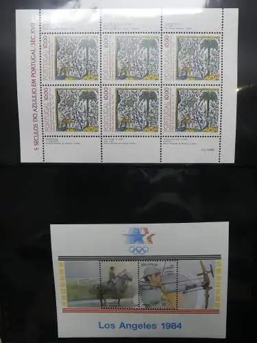Europa Allgemein Blocklager postfrisch im Binder #LZ702