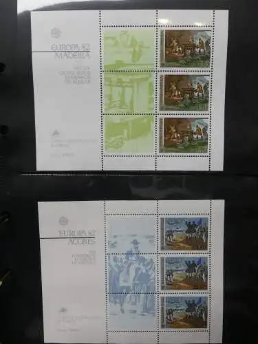 Europa Allgemein Blocklager postfrisch im Binder #LZ702