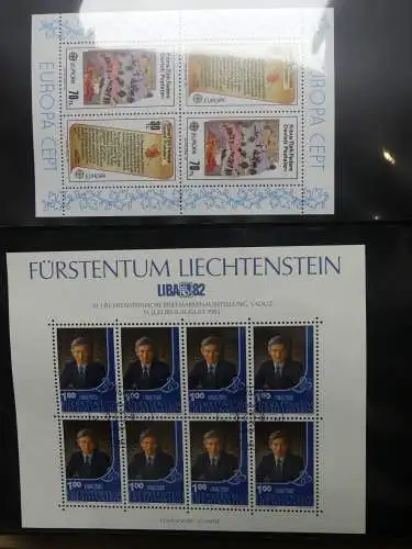 Europa Allgemein Blocklager postfrisch im Binder #LZ702