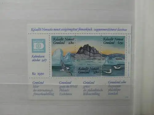 Grönland postfrisch besammelt im Einsteck-Album #LZ683
