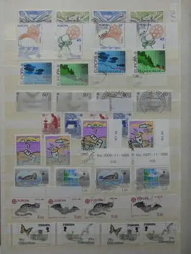 Europa Cept dual besammelt im Einsteck-Album #LZ761