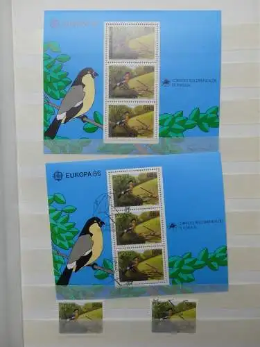 Europa Cept dual besammelt im Einsteck-Album #LZ761