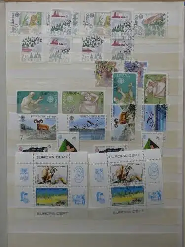 Europa Cept dual besammelt im Einsteck-Album #LZ761