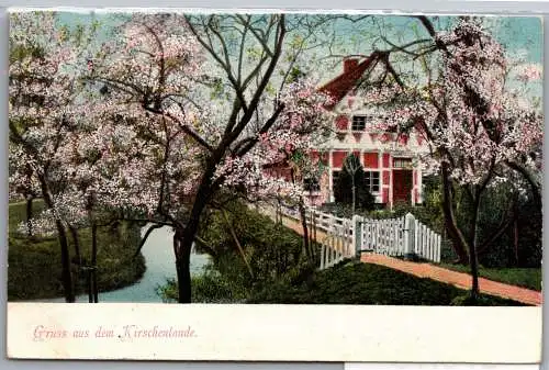 Ak Gruss aus dem Kirschenlande Blütenpracht 1911 #ON815