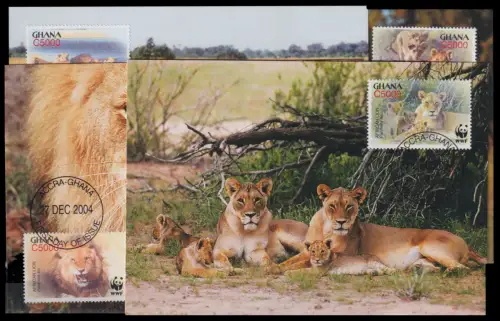 Ghana 3701-3704 gestempelt Maximumkarten mit Ersttagsstempel / Löwen #OE204
