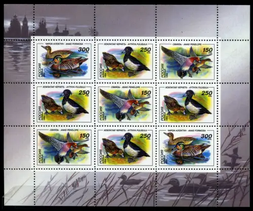 Russland Kleinbogen o. Zudruck 389-389 postfrisch Vögel #JC594