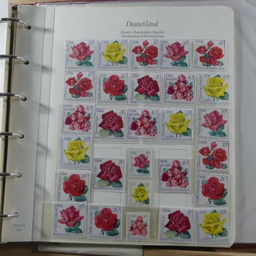 DDR Zusammendrucke ** besammelt in 3 Borek Binder #MA038