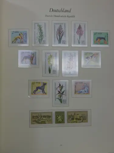 DDR ** komplett und etwas SBZ in 6 Borek Bindern #MA043