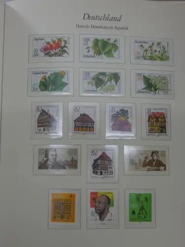 DDR ** komplett und etwas SBZ in 6 Borek Bindern #MA043