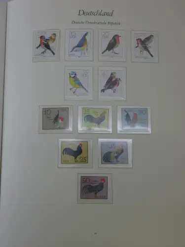 DDR ** komplett und etwas SBZ in 6 Borek Bindern #MA043