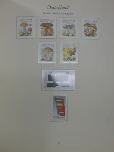 DDR ** komplett und etwas SBZ in 6 Borek Bindern #MA043