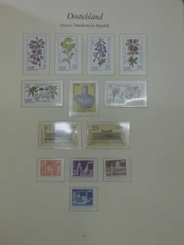 DDR ** komplett und etwas SBZ in 6 Borek Bindern #MA043