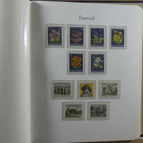 Österreich postfrisch besammelt in 2 Borek Binder #MA039