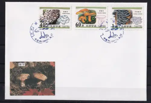 Korea 4220-4222 gestempelt als FDC / Pilze #OE410