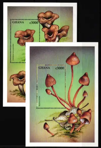 Ghana Block 324 und 325 postfrisch Pilze #HQ687