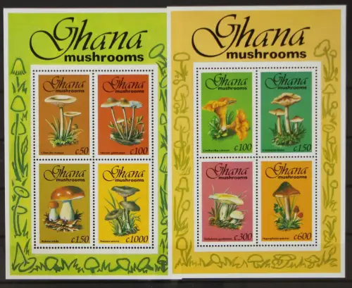 Ghana Block 231 und 232 postfrisch Pilze #GH126