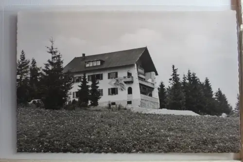 AK Erbendorf / Opf. Steinwaldhaus #PF828