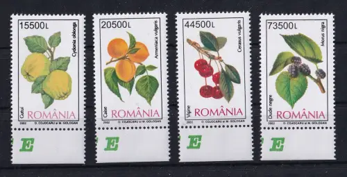 Rumänien 5694-5697 postfrisch Obst #OM960