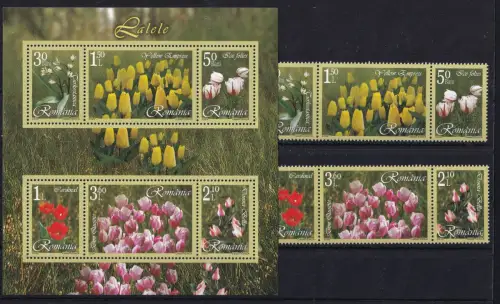 Rumänien Block 373 + 6055-6060 postfrisch Blumen, Tulpen #OM944