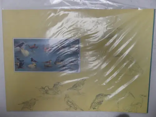 Taiwan 1990-1999 postfrisch als Doppelbögen im Folder, Vögel #NF002