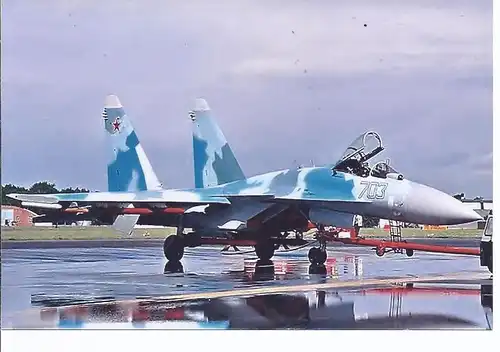Kampfflugzeug Foto  RUSSIA AIR FORCE  Sukha SU 35