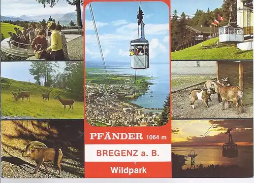 92046 - Bregenz - Pfänder und Wildpark - Mehrbild (7)