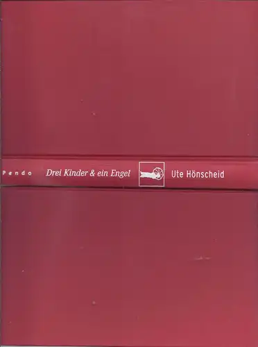 wzgrau-box  Ute Hönscheid - Drei Kinder und ein Engel - Ein tödlicher Behandlungsfehler und der Kampf einer Mutter um die Wahrheit 