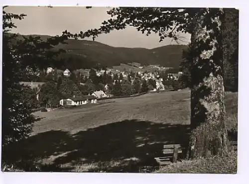 Obertal-Buhlbach Schwarzwald Ansicht ngl 14.480