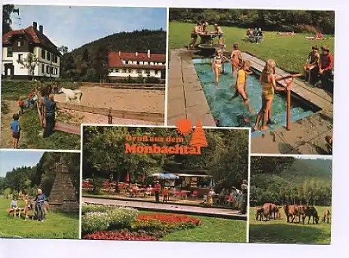 Bad Liebenzell Monbachtal 5 Ansichten gl1980? 14.484