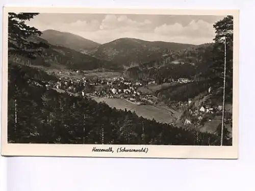 Herrenalb Schwarzwald Gesamtansicht gl1950? 17.333