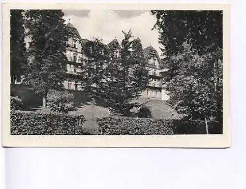 Freudenstadt Schwarzw. Kurhaus Palmenwald gl1958 17.274