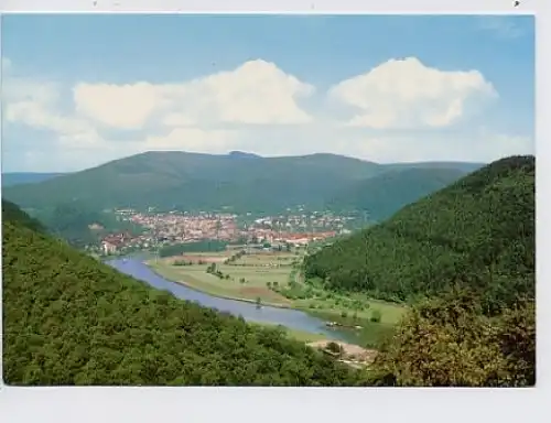 Eberbach a.Neckar Blick auf die Stadt ngl 30.186