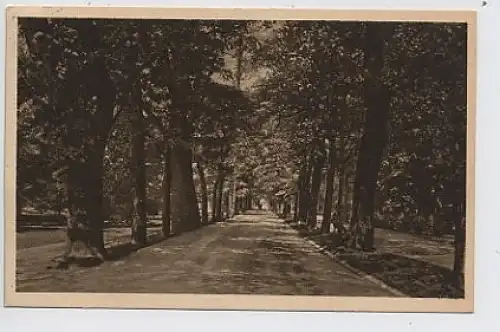 Baden-Badern Lichtenthaler Allee gl1925 30.394