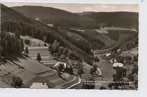 Nußbachtal im Schwarzwald gl1957 30.381
