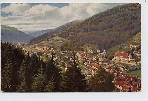 Wildbad Schwarzwald Künstler-AK gl1916 30.321