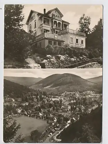 Herrenalb Schwarzwald Villa Waldlust gl1962 30.834