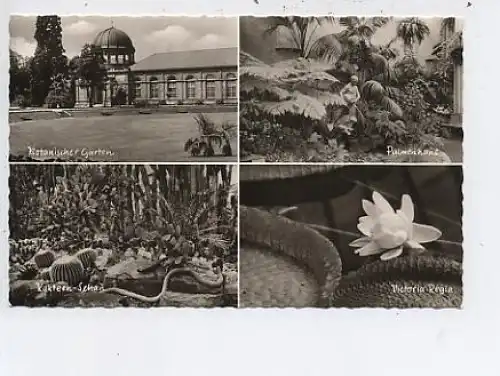 Karlsruhe Botanischer Garten 4 Ansichten gl1960 48.425