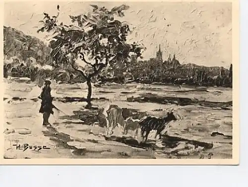 Viehhirt vor Bad Wimpfen a.Neckar BUSSE ngl 48.650