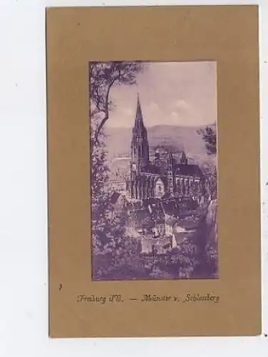 Freiburg i.Br. Münster vom Schloßberg gl1911 48.463