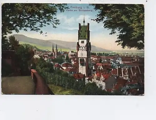 Freiburg i.Br. Partie am Schloßberg gl1910 48.765