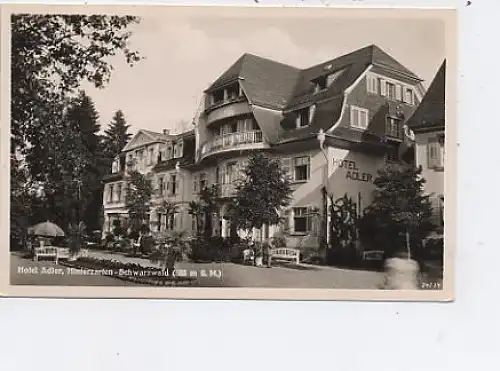 Hinterzarten Schwarzwald Hotel Adler ngl 48.863