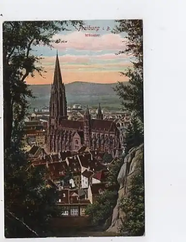 Freiburg i.Br. Münster feldpgl1917 48.763