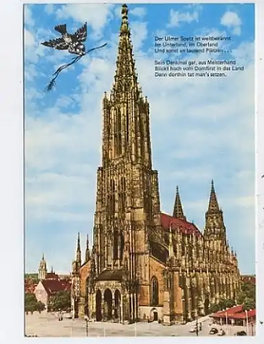 Ulm a.D. Münster mit Spatz-Gedicht ngl 48.796